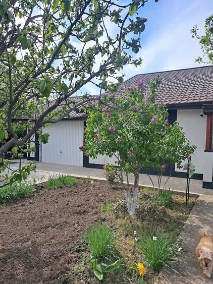 Casă cu 3 camere cu Teren 700 Mp în Valea Ursului