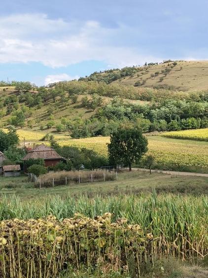 Casă cu 2 camere în Sânger