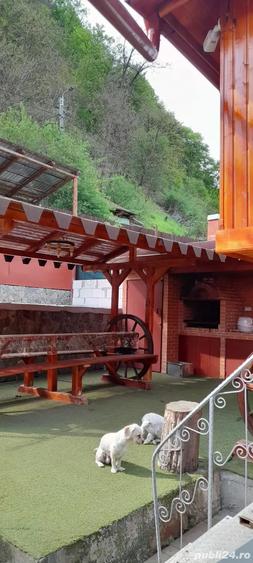 Casă cu 6 camere în Cugir