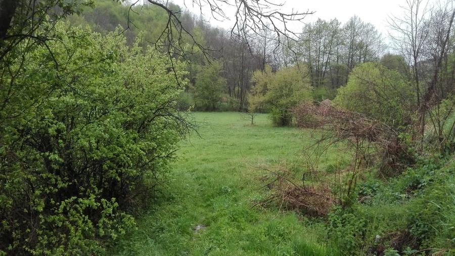 Teren de 2798 mp, în Sârbi