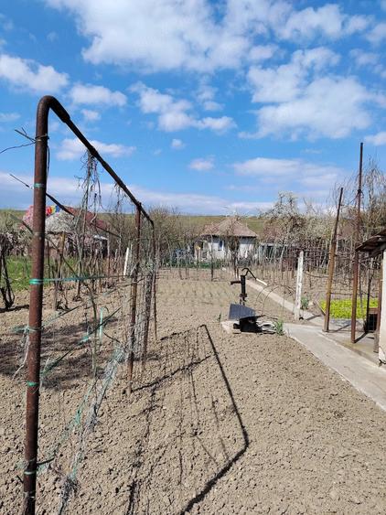 Casă cu 5 camere cu Teren 830 Mp în Central