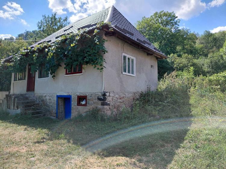 Casă cu 2 camere în Hodișu