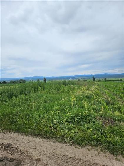 Teren intravilan de 2200 mp, în Rădășeni