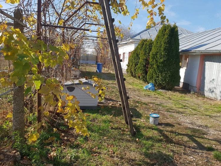 Casă cu Teren 32 Mp în Central