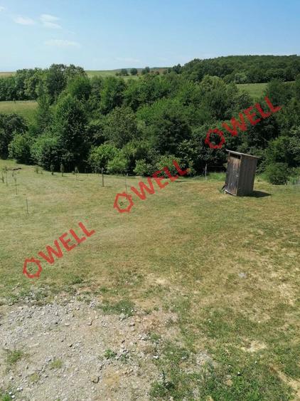 Teren agricol intravilan de 1523 mp, în Calnic