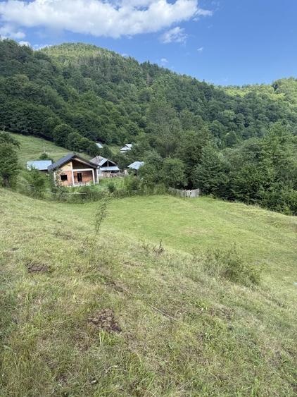 Teren de 3500 mp, în Cuejdiu