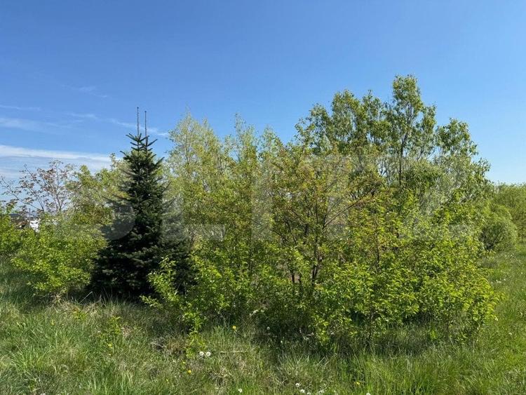 Teren Construcții intravilan de 19000 mp, în Botoșanița Mare