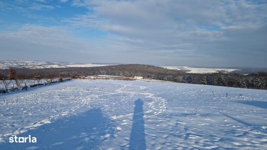 Teren de 3000 mp, în Nord