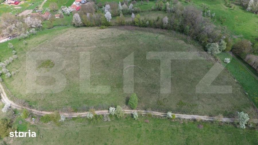 Teren de 16871 mp, în Almașu Mare