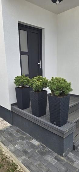 Casă individuală cu 3 camere cu Teren 300 Mp în Tărlungeni