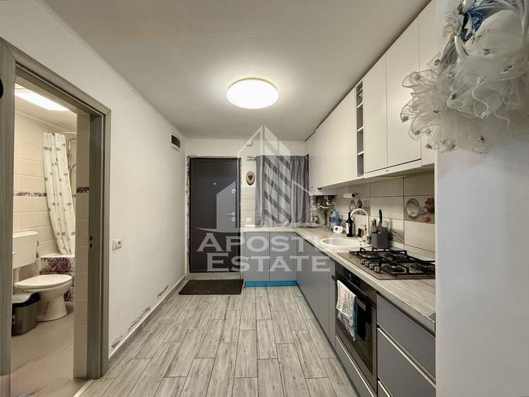 Apartament cu 2 camere nedecomandat, mobilat în Iosefin