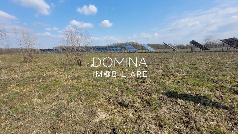 Teren Construcții intravilan de 978 mp, în Drăguțești