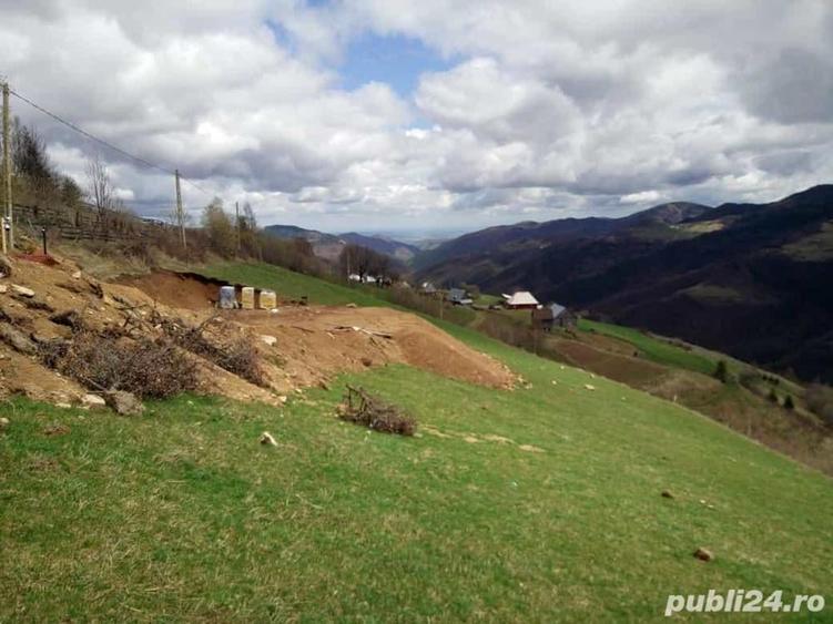 Teren de 5619 mp, în Măguri