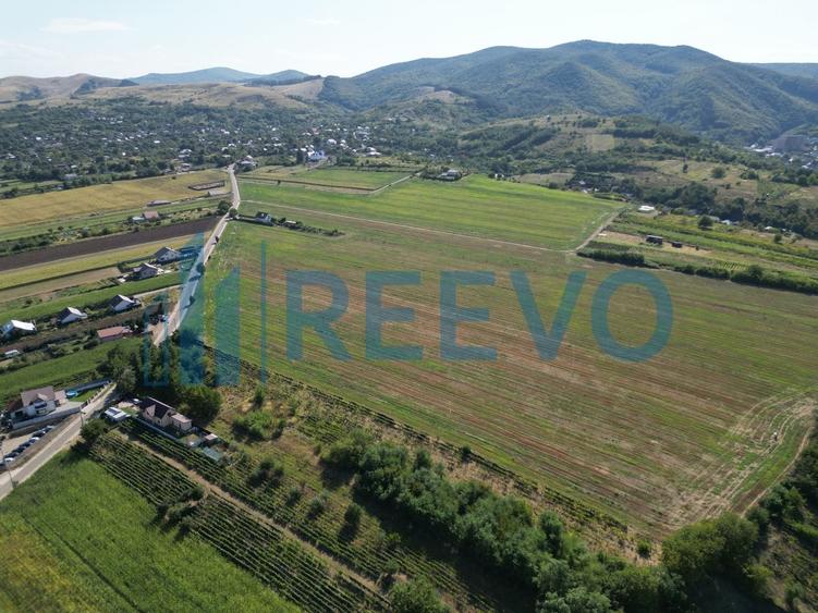 Teren Construcții intravilan de 7366 mp, în Sărata (Sărata)
