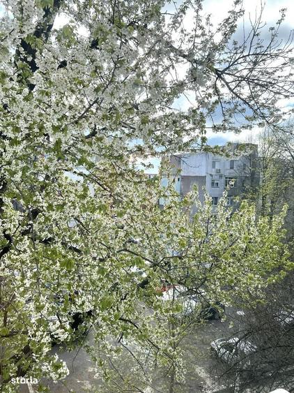 Apartament cu 2 camere semidecomandat în Sârbi