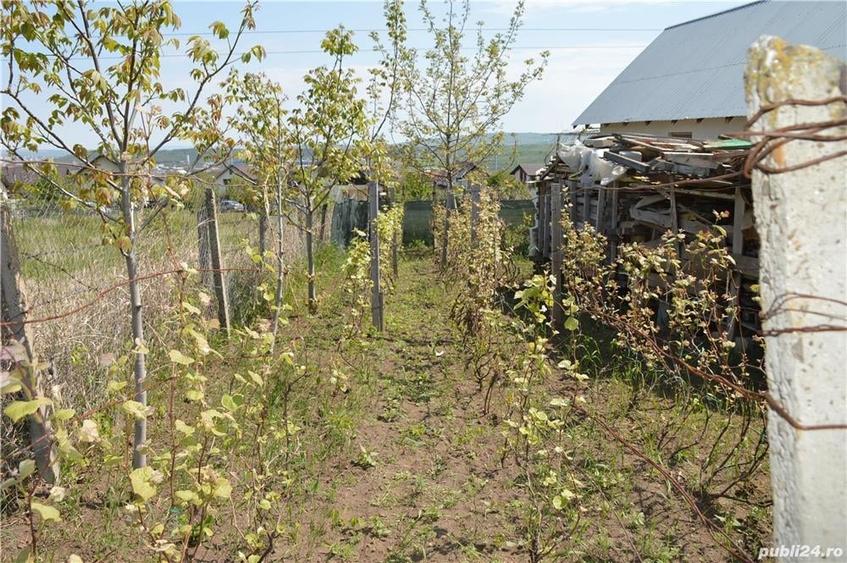 Casă cu 10 camere cu Teren 1278 Mp în Horpaz