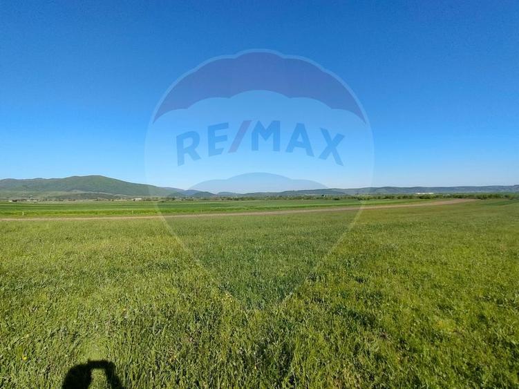 Teren agricol extravilan de 1668 mp, în Gura Râului