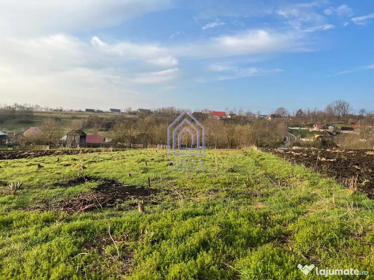 Teren de 4872 mp, în Antoceni
