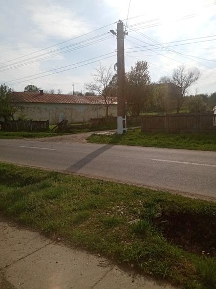 Teren de 700 mp, în Băcălești