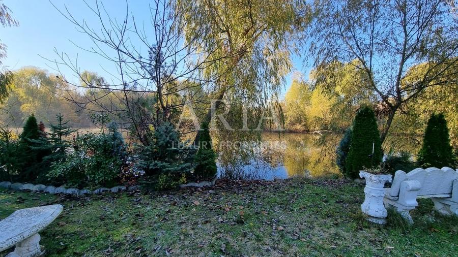 Casă individuală cu 24 camere cu Piscina în Iancu Nicolae