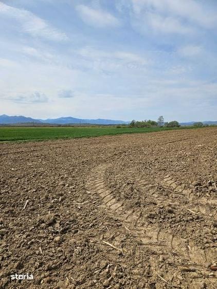 Vanzare teren agricol extravilan - 3