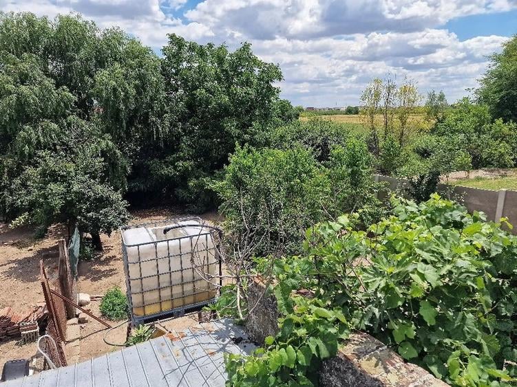 Casă cu Teren 1500 Mp în Ciarda Roșie