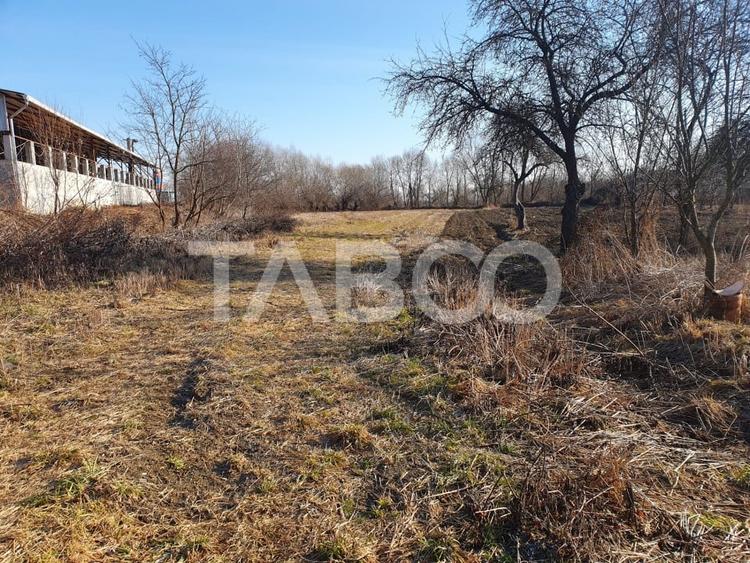 Teren Construcții intravilan de 3600 mp, în Voila
