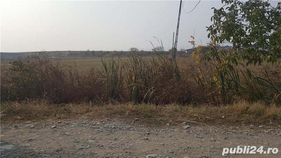 Vand inchiriez intravilan Golesti,la 3 km de Focsani, 23 m deschidere DN2 E85,17euro mp - 4