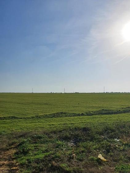 Teren Construcții intravilan de 1000 mp, în Agigea