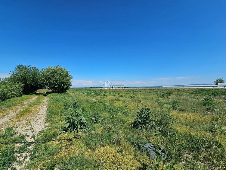 Teren agricol extravilan de 10900 mp, în Băleni-Sârbi