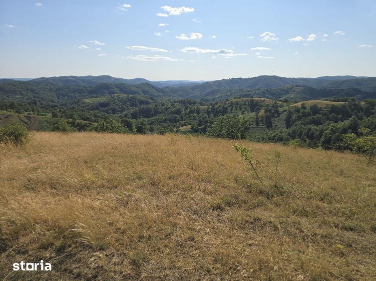 Teren de 150000 mp, în Cerbăl
