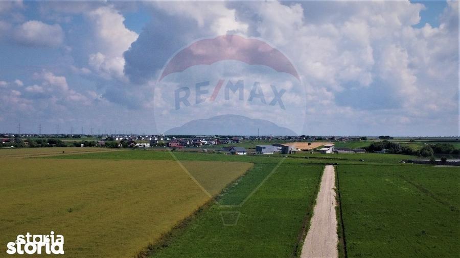 Teren de 9400 mp, în Lipnița