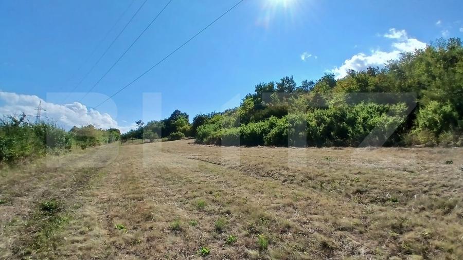 Teren agricol intravilan de 1929 mp, în Remetea