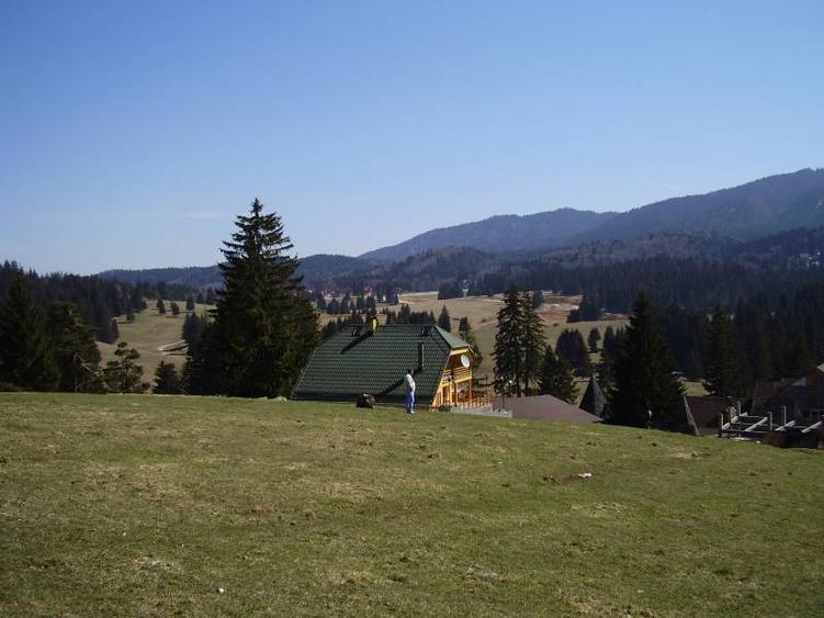 Teren intravilan de 3200 mp, în Poiana Brașov