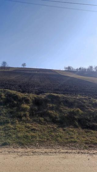 Teren de 5600 mp, în Ungureni