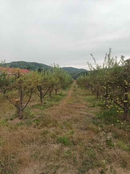Spațiu comercial, în Cepari