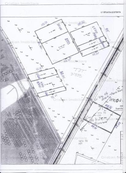 Teren intravilan de 31333 mp, în Lacu Sărat