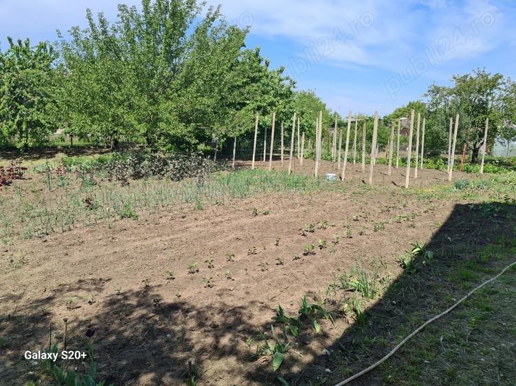 casa + teren 1500 mp Catamara?ti Deal Boto?ani - 3