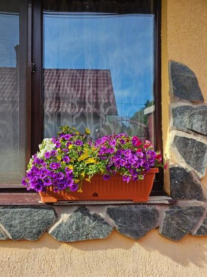 Casă individuală cu 3 camere cu Teren 2300 Mp în Nord-Est