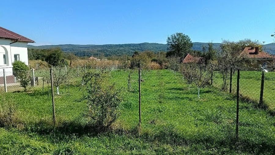 Casă cu Teren 1500 Mp în Crâmpotani