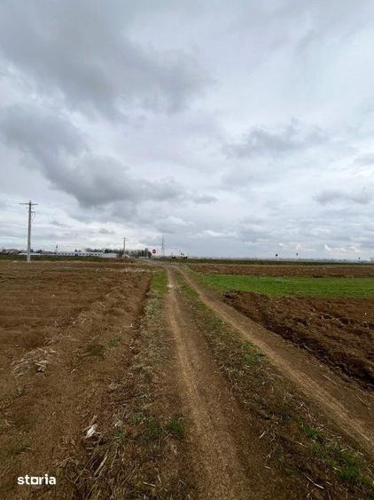 Teren de 2500 mp, în Hănțești