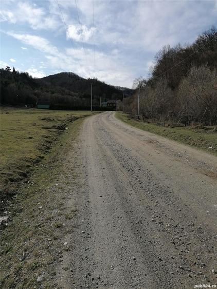 Teren de 3800 mp, în Crizbav