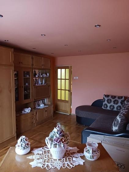 Apartament 2 camere decomandat + balcon, mobilat, centrala gaz | Vulcan - 4