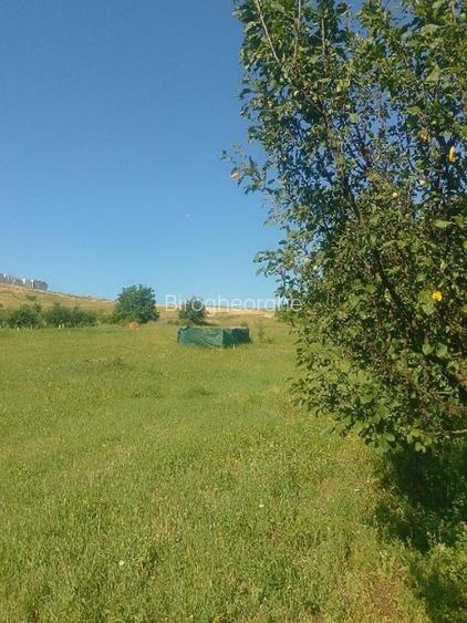 Teren Construcții intravilan de 3000 mp, în Sopor