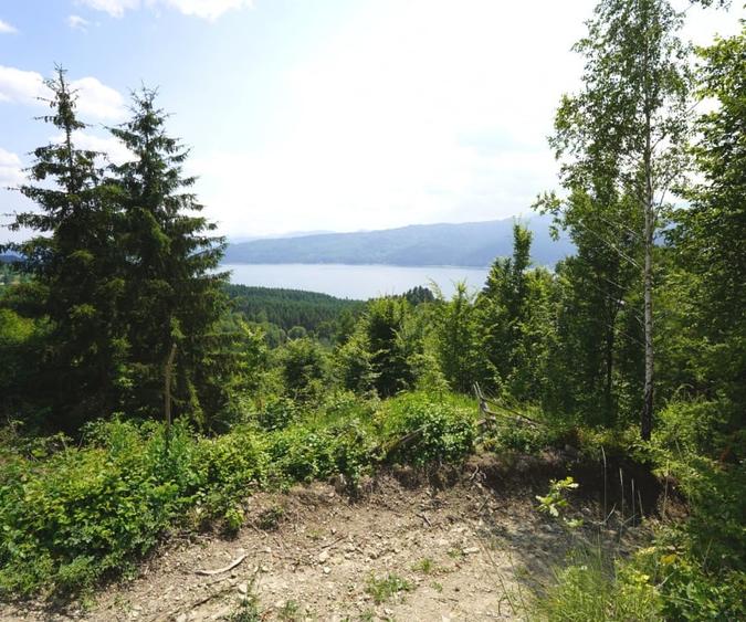 Teren agricol intravilan de 1723 mp, în Hangu