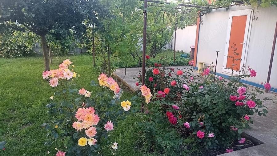 Casă cu 4 camere cu Teren 675 Mp în Central