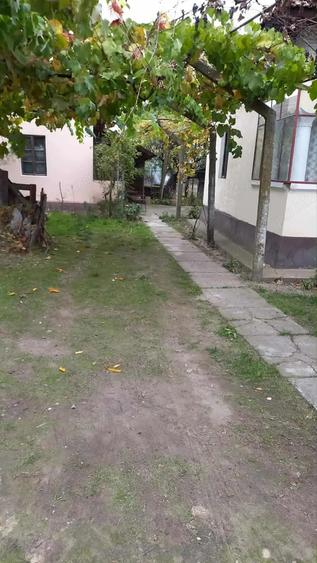 casa de vanzare localitatea Jiana - 4
