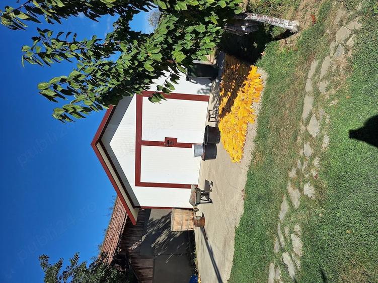Casă cu Teren 4000 Mp în Biliești