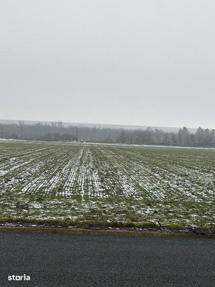 Teren de 260000 mp, în Central