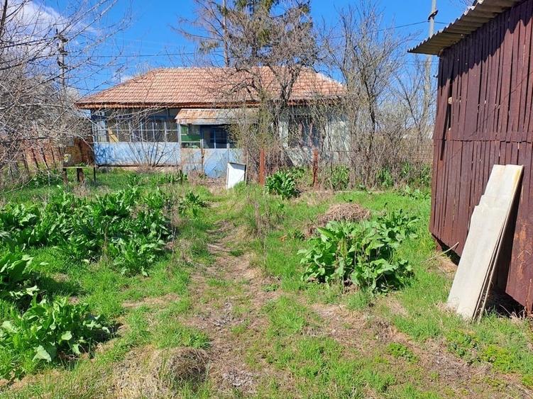 Casă cu Teren 1100 Mp în Valea Fetei